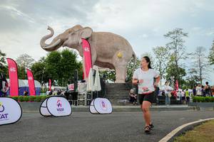 BIB: 
                            <button type="button" onclick="openModal(26528686)" class="btn btn-primary btn-sm float-right btn-popup" data-toggle="modal" data-target=".modal-high-quality">
                        <i class="fas fa-shopping-cart"></i> Add to Cart
                    </button>
                                            <button type="button" onclick="isThisMe(26528686, true)" class="btn btn-success btn-sm float-right btn-popup btn-isme hidden" data-toggle="tooltip" data-placement="bottom" title="นี่คือรูปของคุณใช่ไหม คลิกที่นี่เพื่อเอาเข้าอัลบั้ม">
                        <i class="fas fa-plus"></i> Add to album
                    </button>
                    <button type="button" onclick="isThisMe(26528686, false)" class="btn btn-warning btn-sm float-right btn-popup btn-isnotme hidden">
                        <i class="fas fa-ban"></i> Remove from album
                    </button>